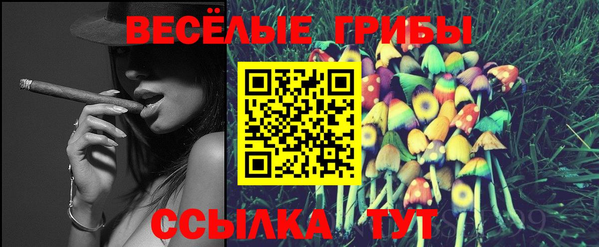 Галлюциногенные грибы GOLDEN TEACHER Дмитров